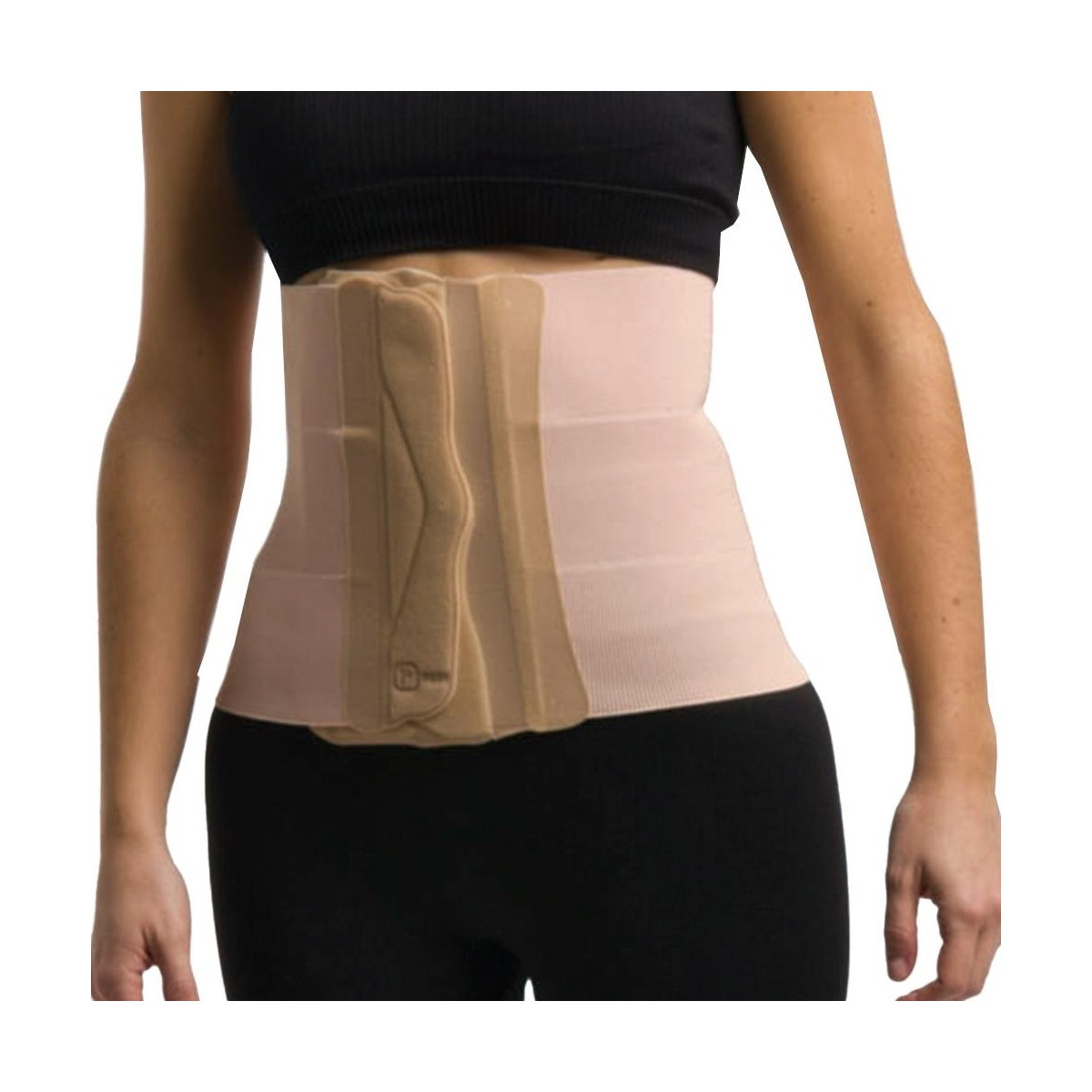 Primspine Faja 3 Bandas L